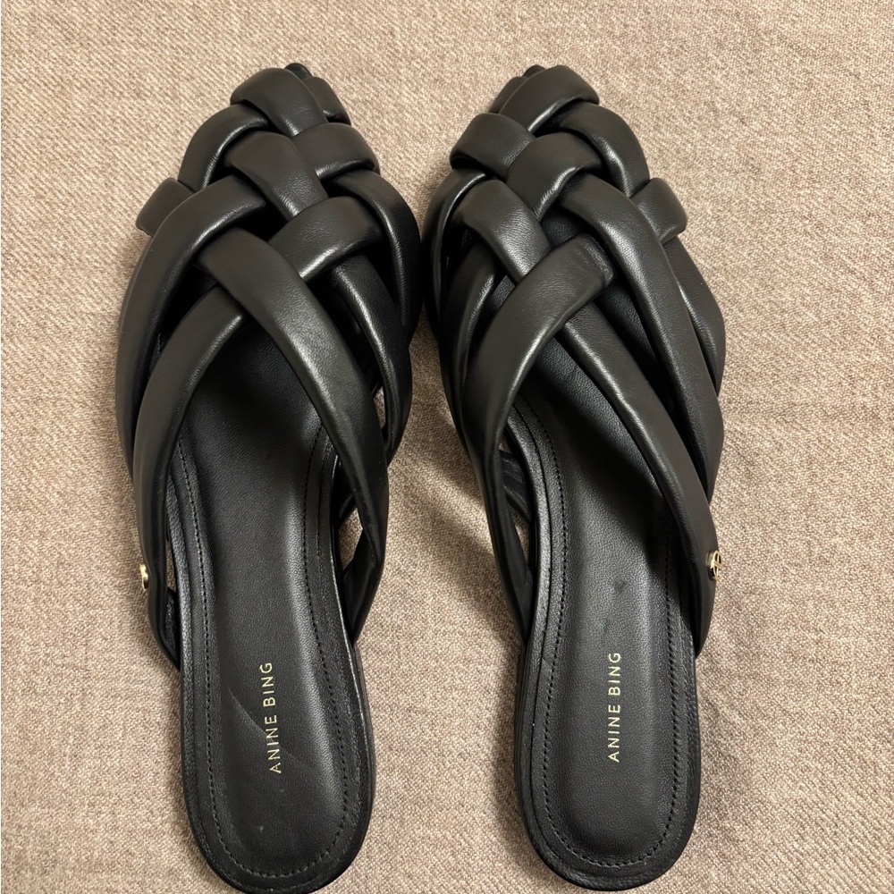 Anine Bing Black Braided Eve Mules